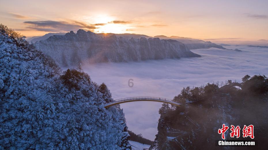 逃离壳牌岛