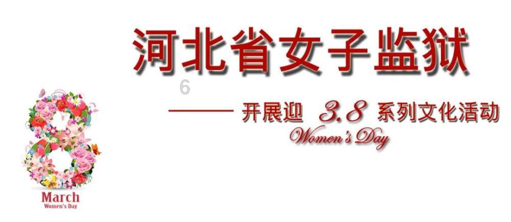 谷歌pixel8a包装盒曝光，配备双后置摄像头