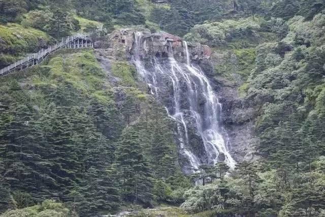 脑洞小老弟无实名认证
