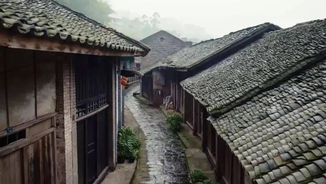奈奈无鱼多少岁